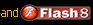 Get the Flash Player