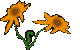 deco4